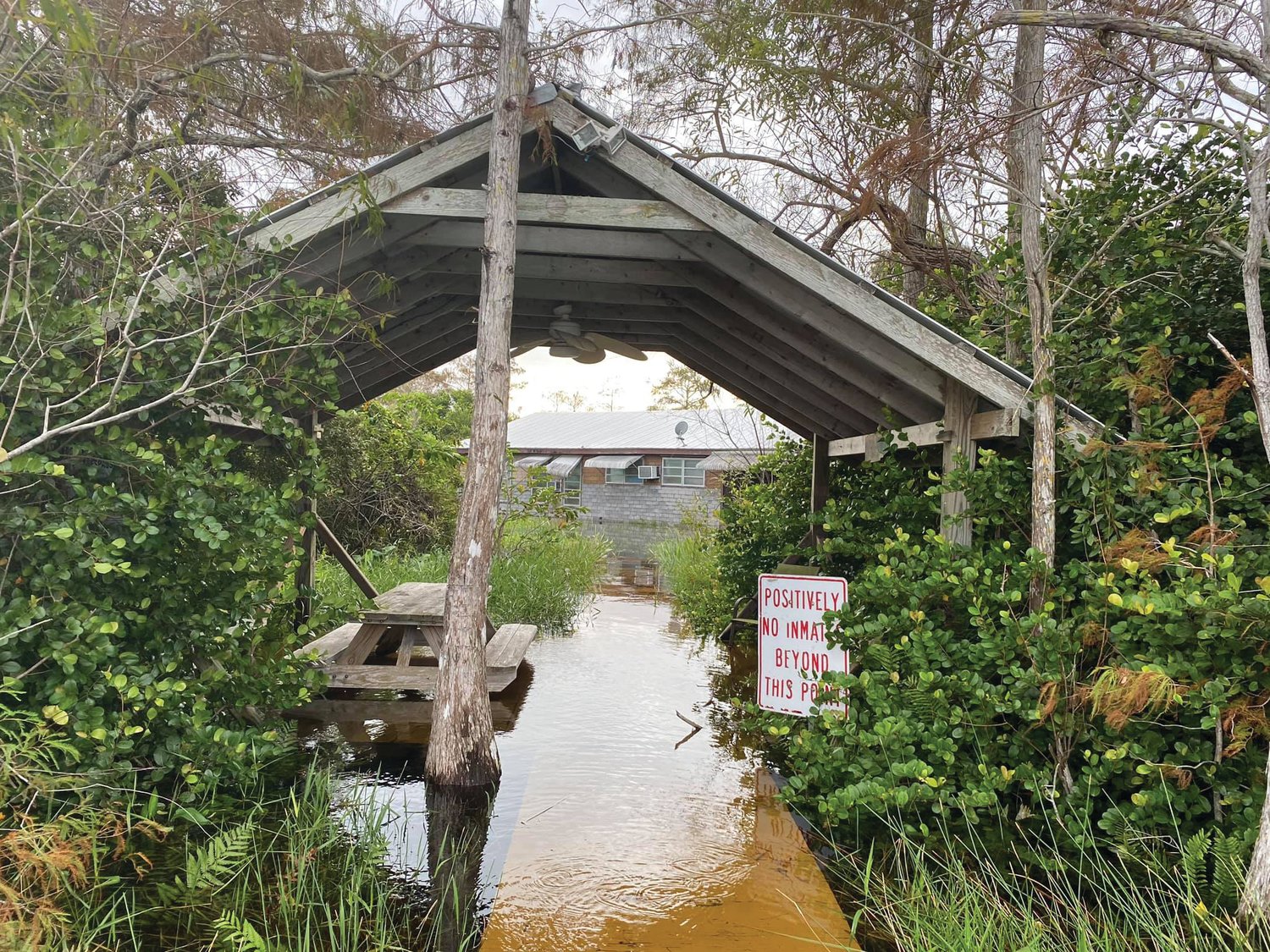 Historic camps in the Everglades are underwater. Water is backed up at the Tamiami Trail, which bisects the Everglades from Tampa to Miami. More conveyance under the road is needed to restore the historic sheetflow of the “River of Grass,” explained Osceola.